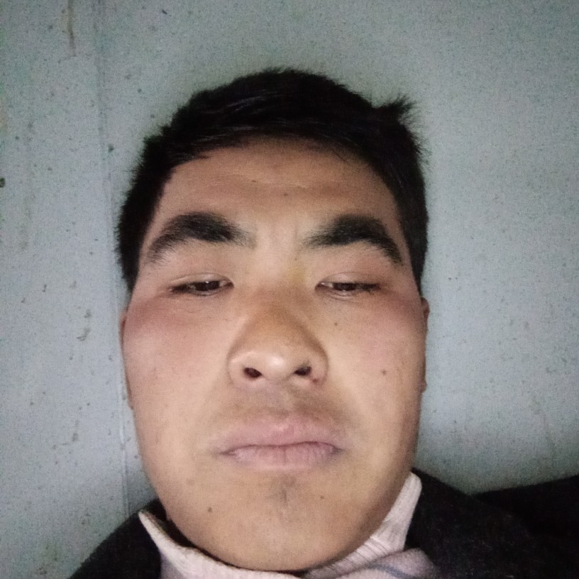 坦率改变羽毛的照片