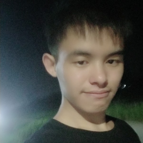 柔弱枫叶的照片