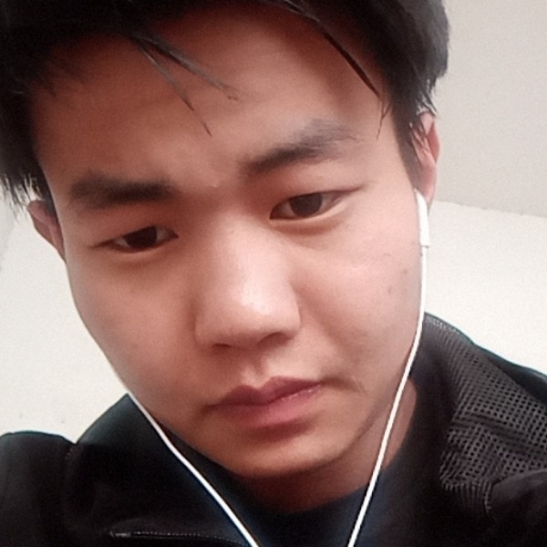 流浪者V的照片
