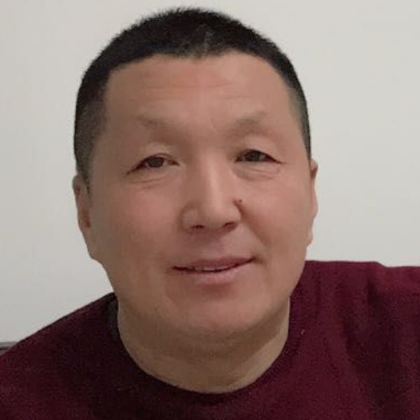 苹果打青花的照片