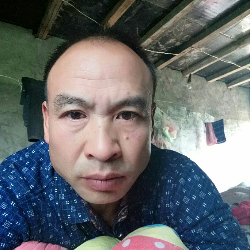 缠绵花生的照片