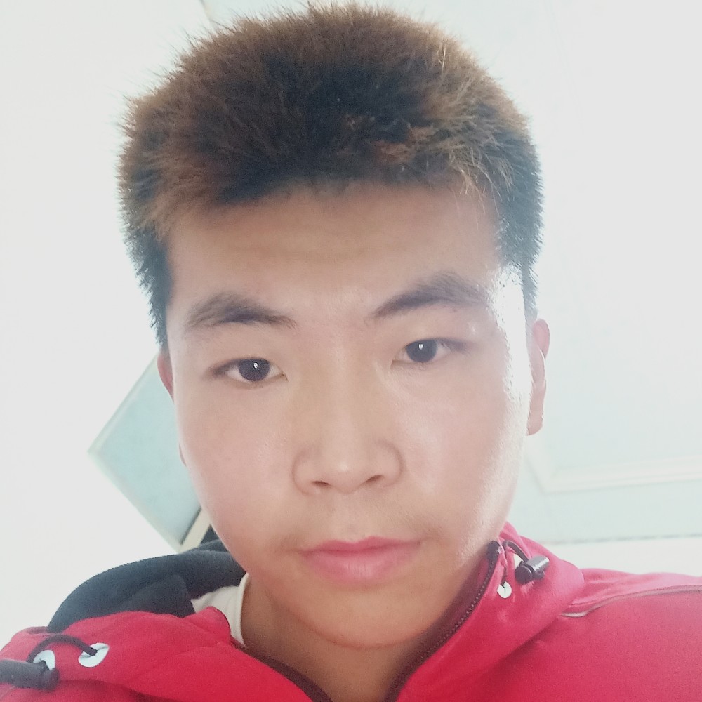 纸鹤的清秀的照片