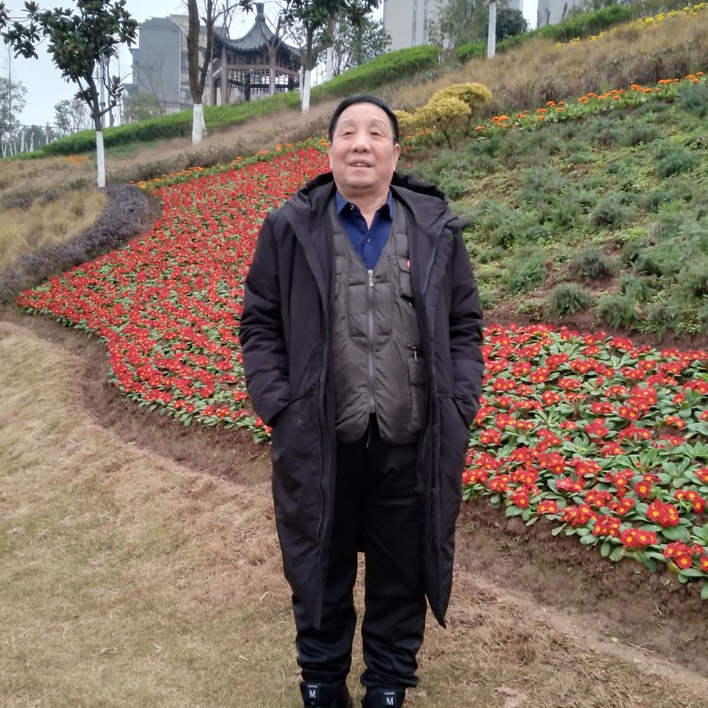 香菇心灵美的照片