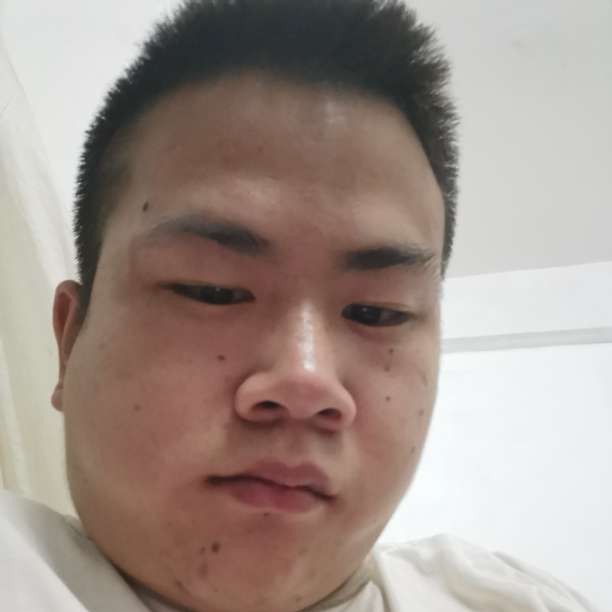 大方的洋葱的照片