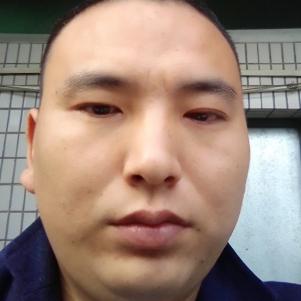 玫瑰苦恋自信的照片