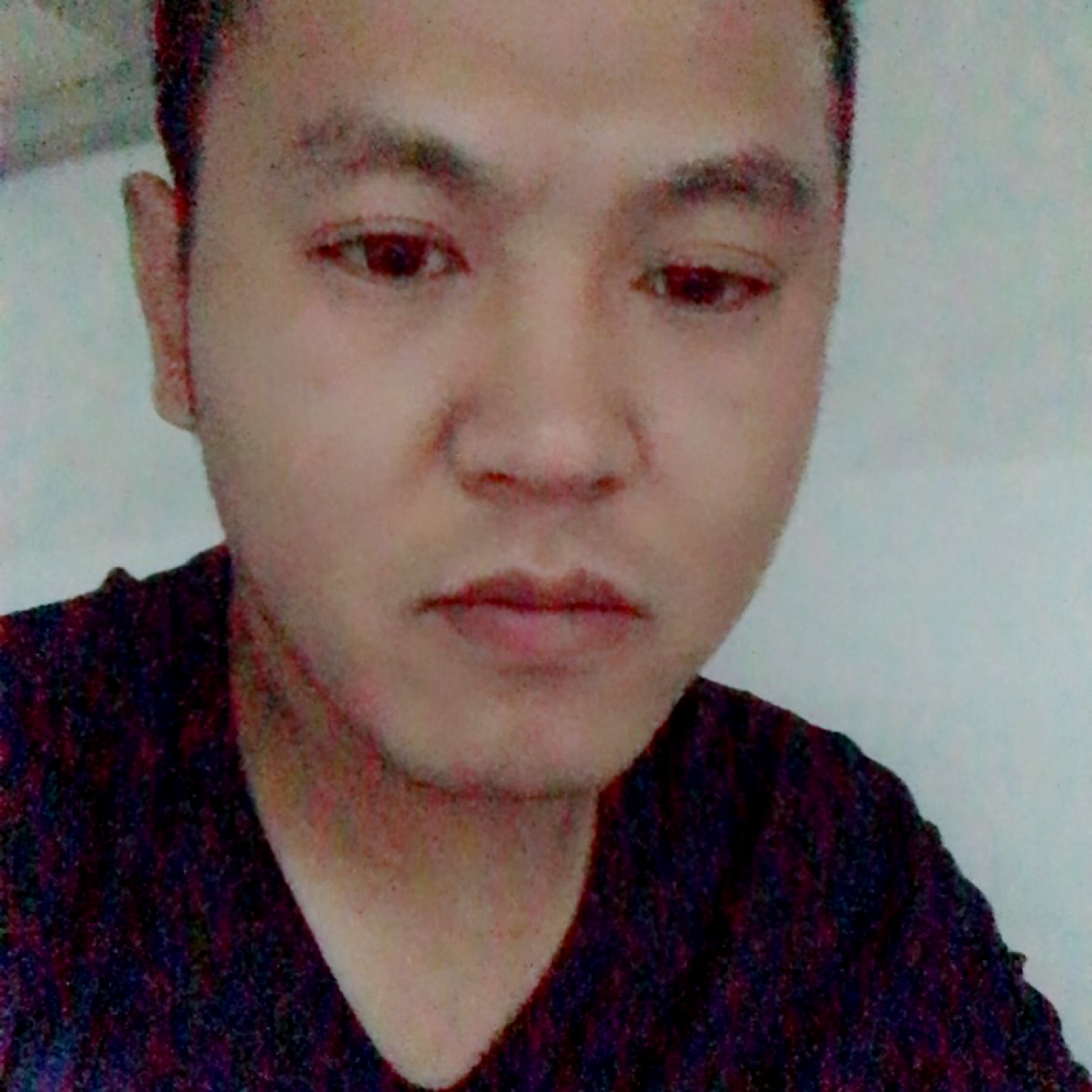 羽毛粗暴的照片