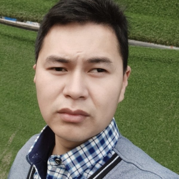 大雁闻忧虑的照片