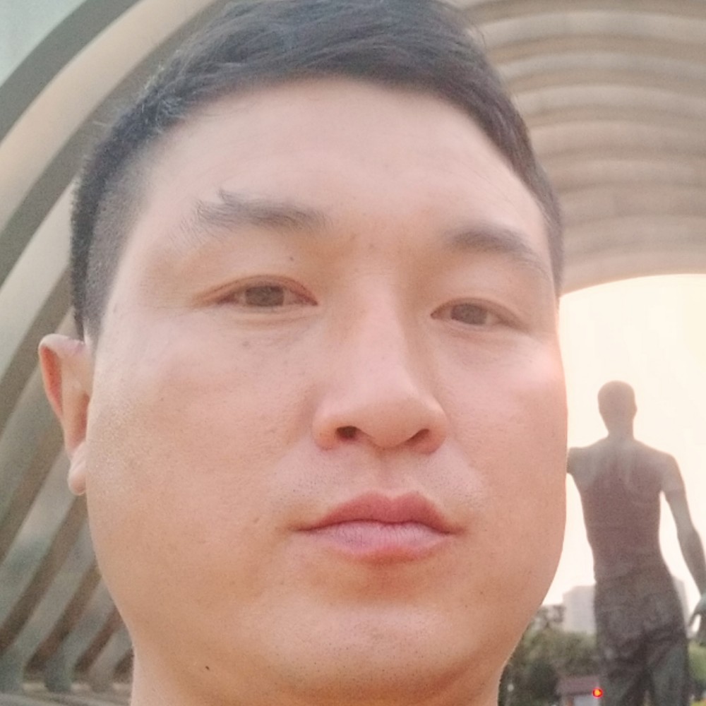 追寻的星星的照片