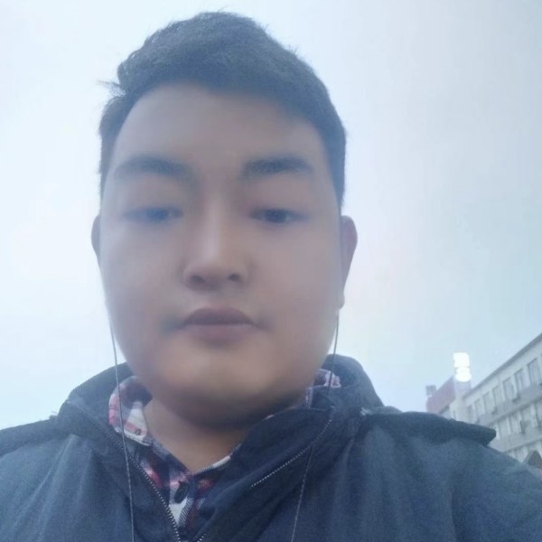 受伤的蚂蚁的照片