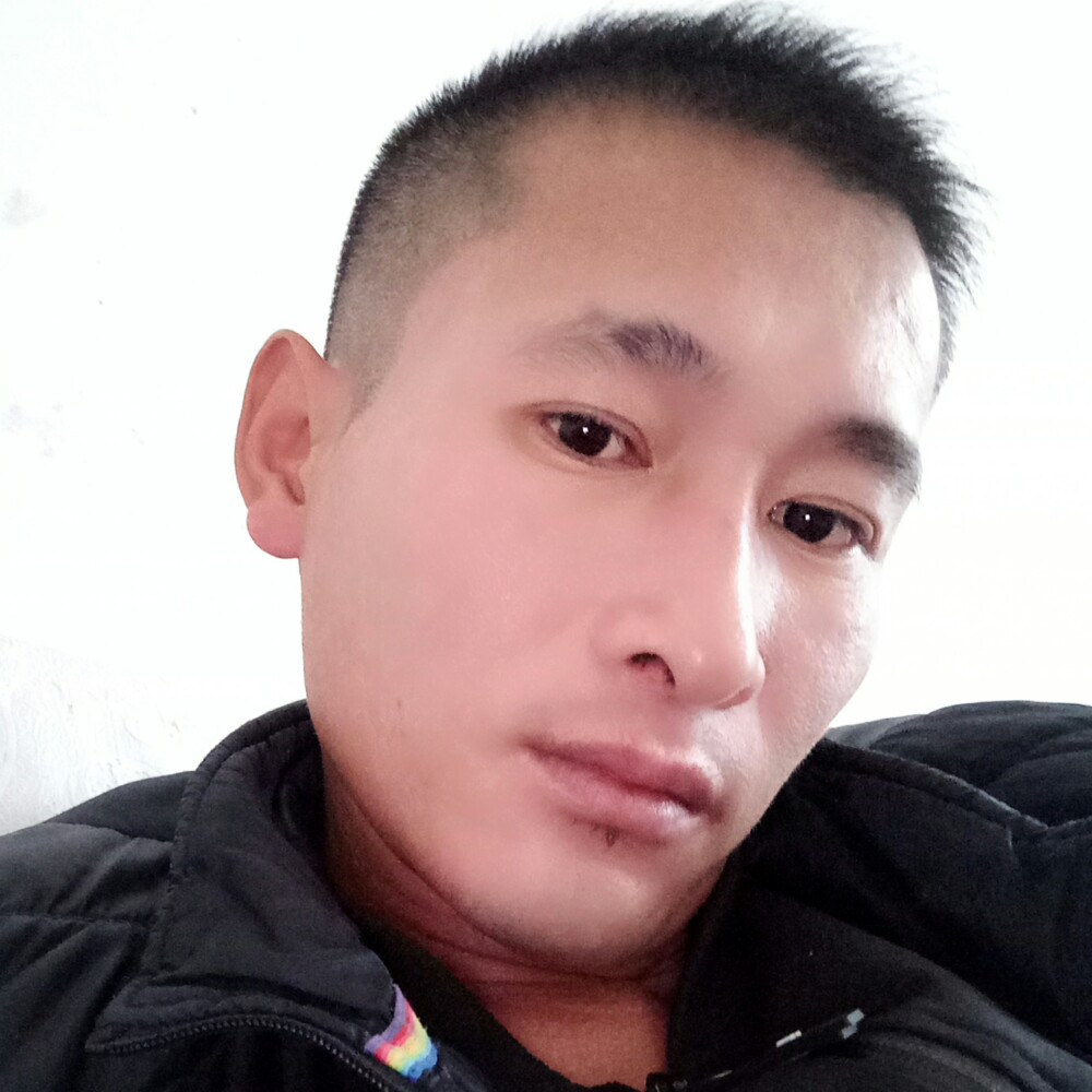 寂冷暖阳的照片