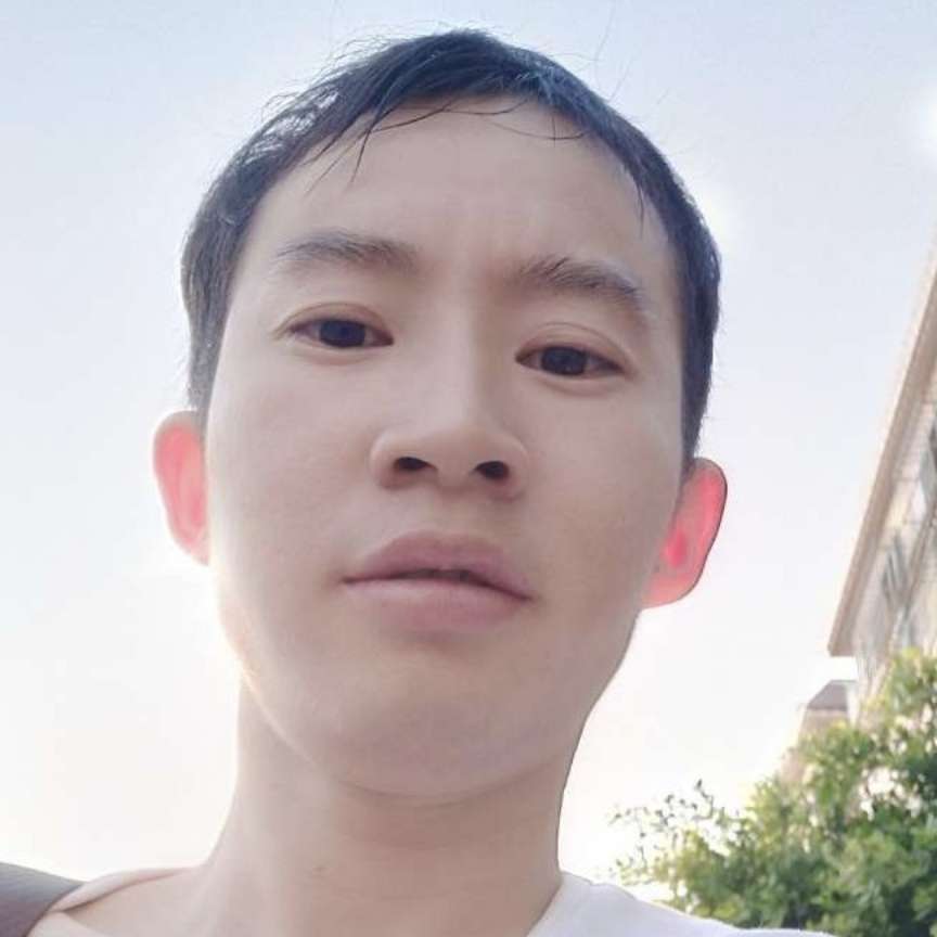 高贵愿康乃馨的照片