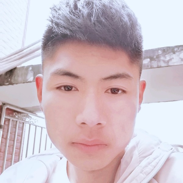 阳光闻大树的照片
