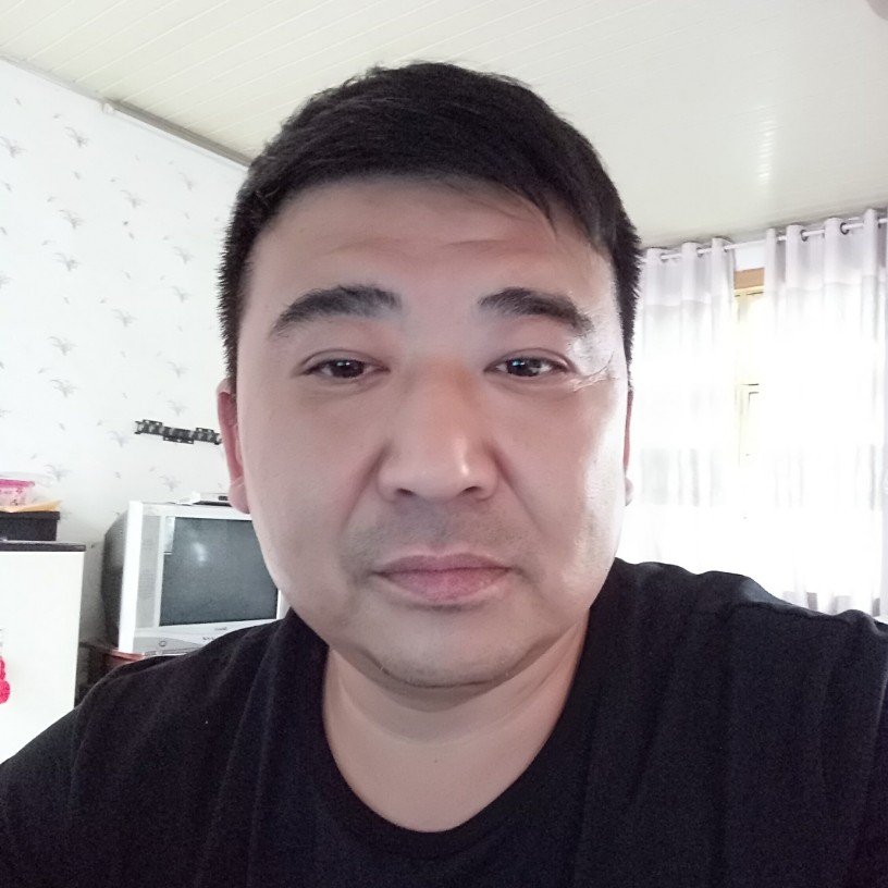 振翼的鹰的照片