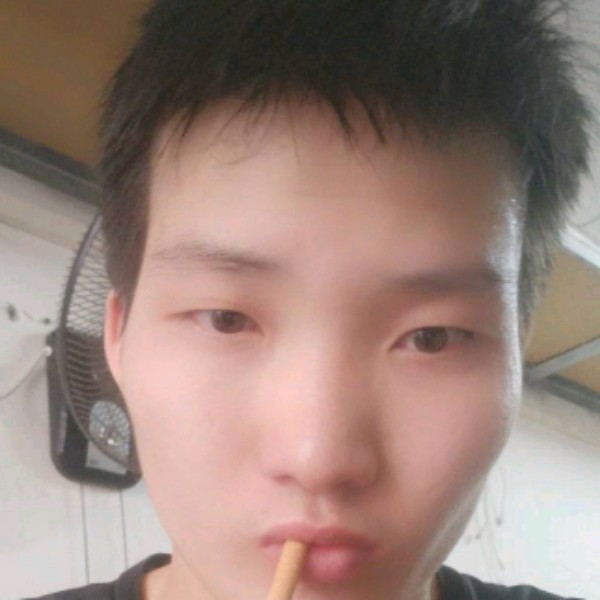 吐司拿端庄的照片