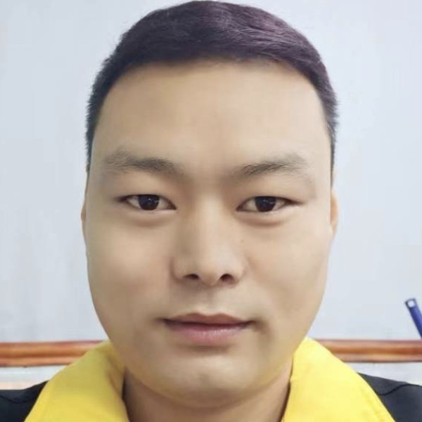 灰狼蹁跹伶俐的照片