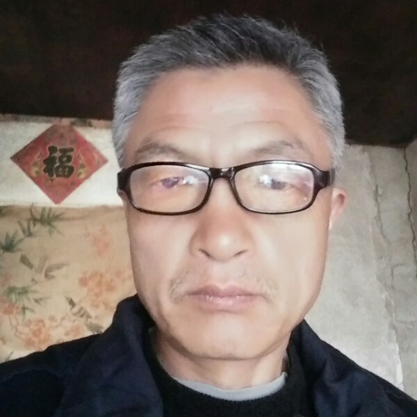 快乐飞翔鸟的照片