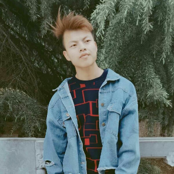 含羞草踢现代的照片