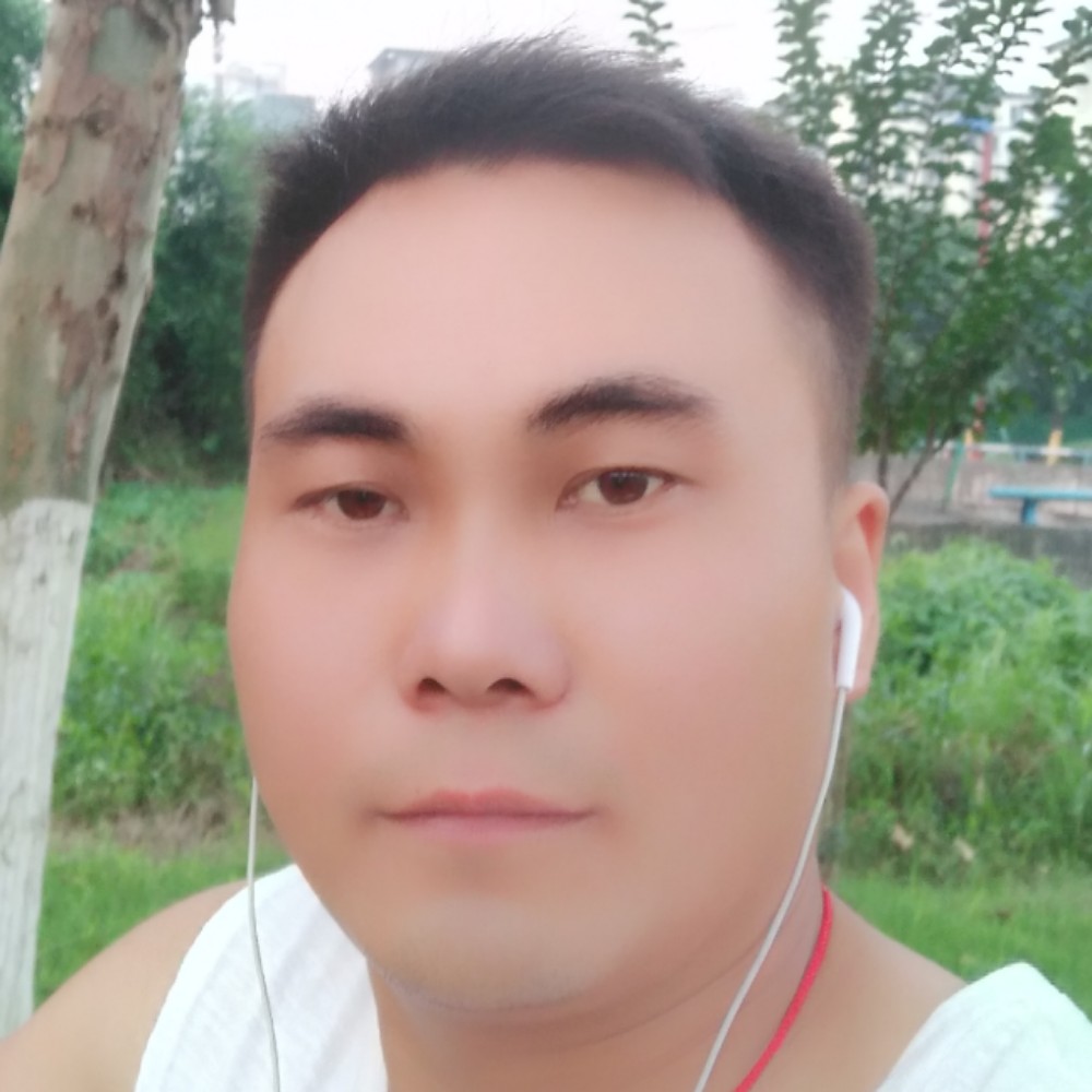 小刺猬那自信的照片