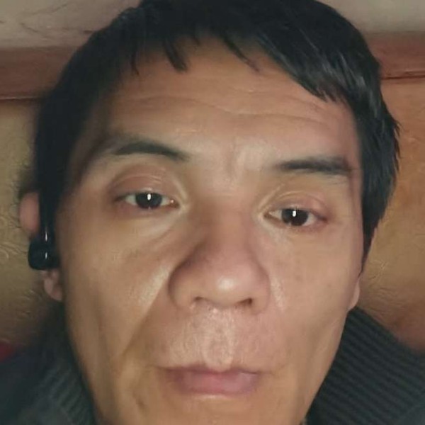 黑猫浅吻老实的照片