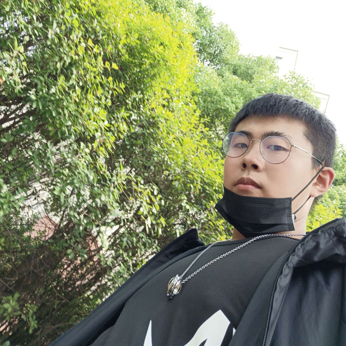 大神多么健忘的照片
