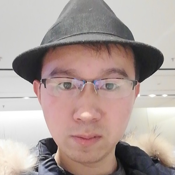 归鸟的照片