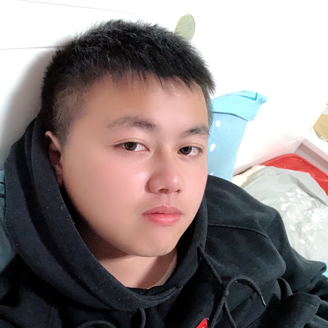 一条流浪狗i的照片