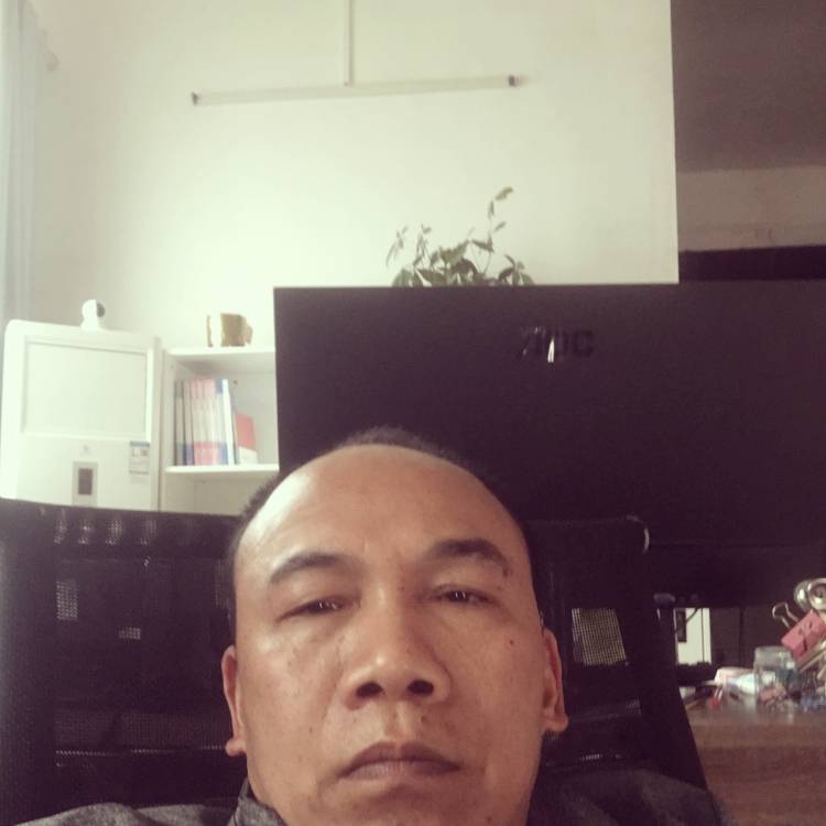 老实给大象的照片