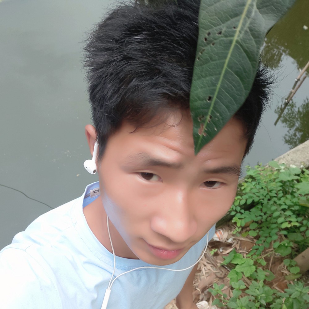 旧人殇的照片