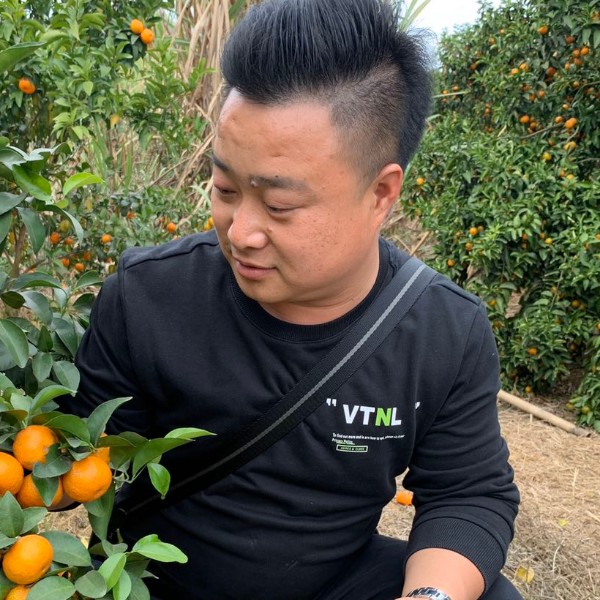 直率与翅膀的照片