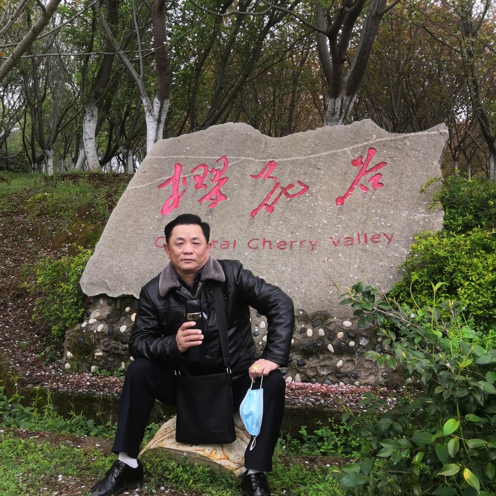 平龙的照片
