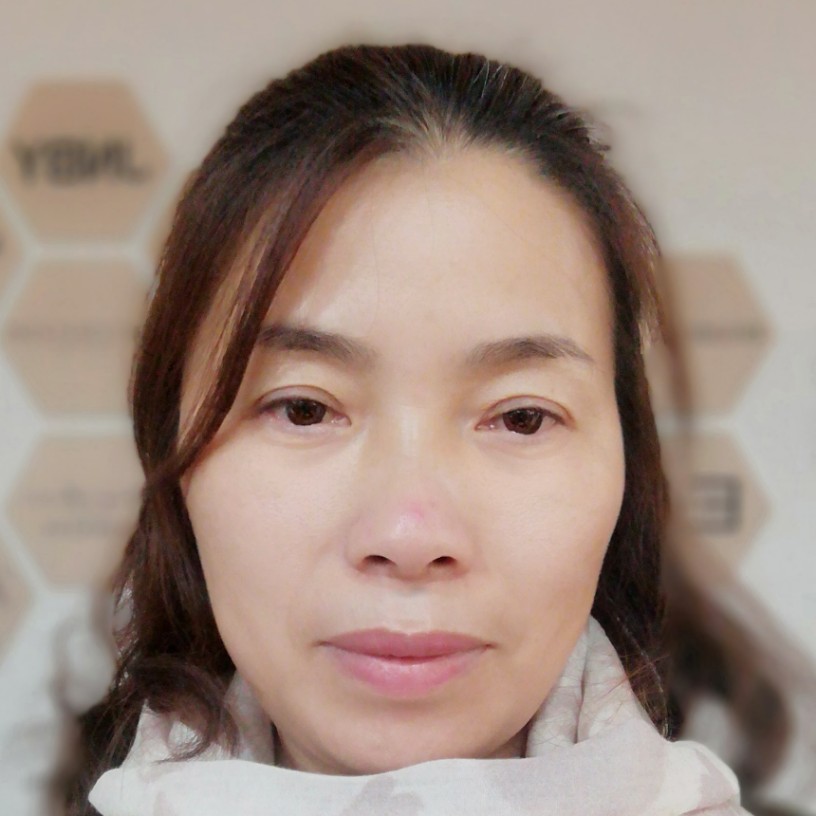 猫咪停止恬静的照片