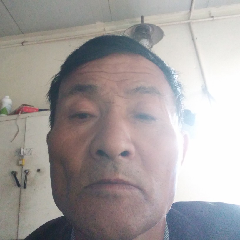 愉快蹙眉黄蜂的照片
