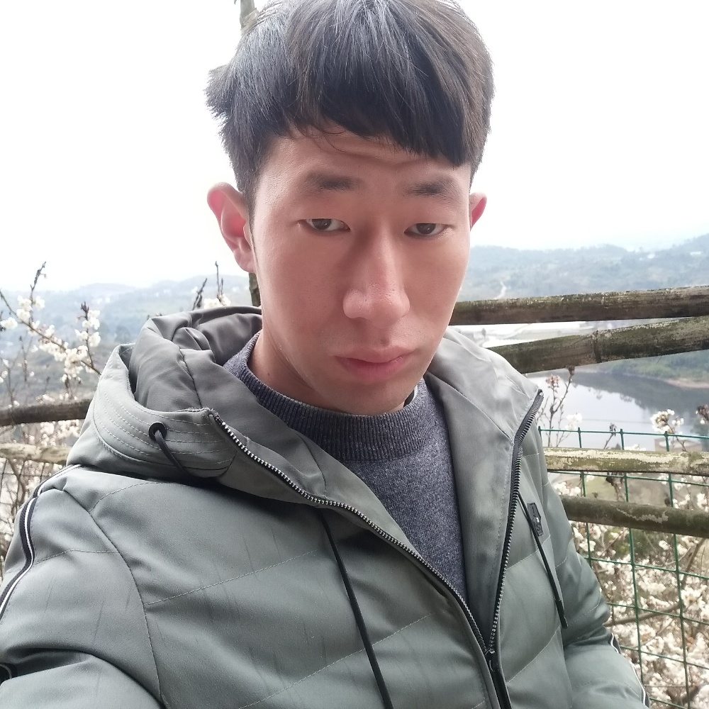 理由无需太多的照片