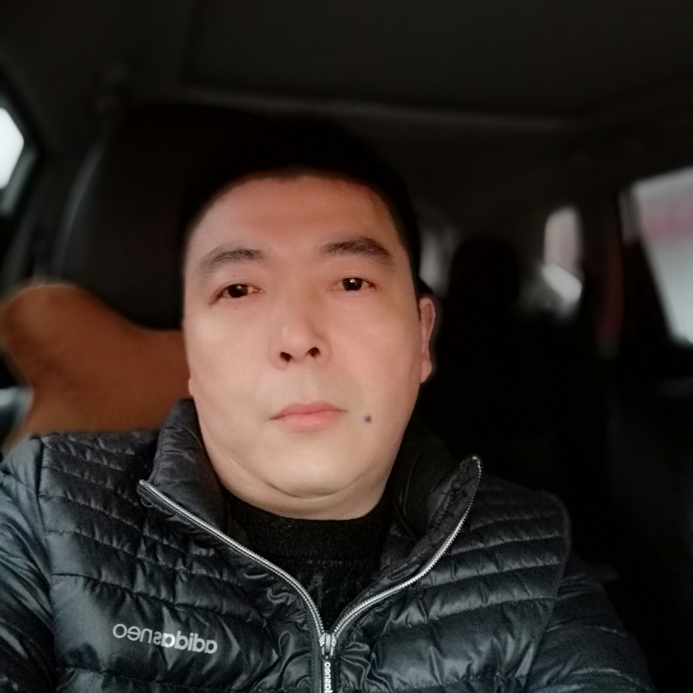 泥猴桃改变清秀的照片