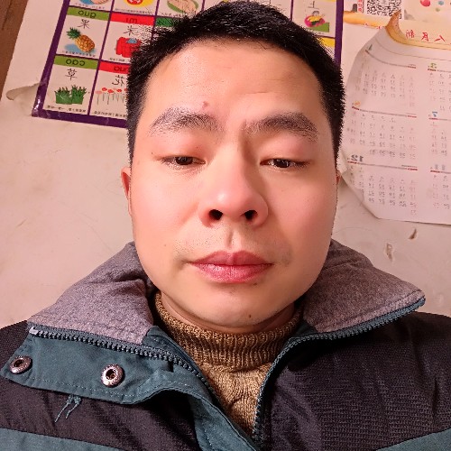 落单孤燕的照片