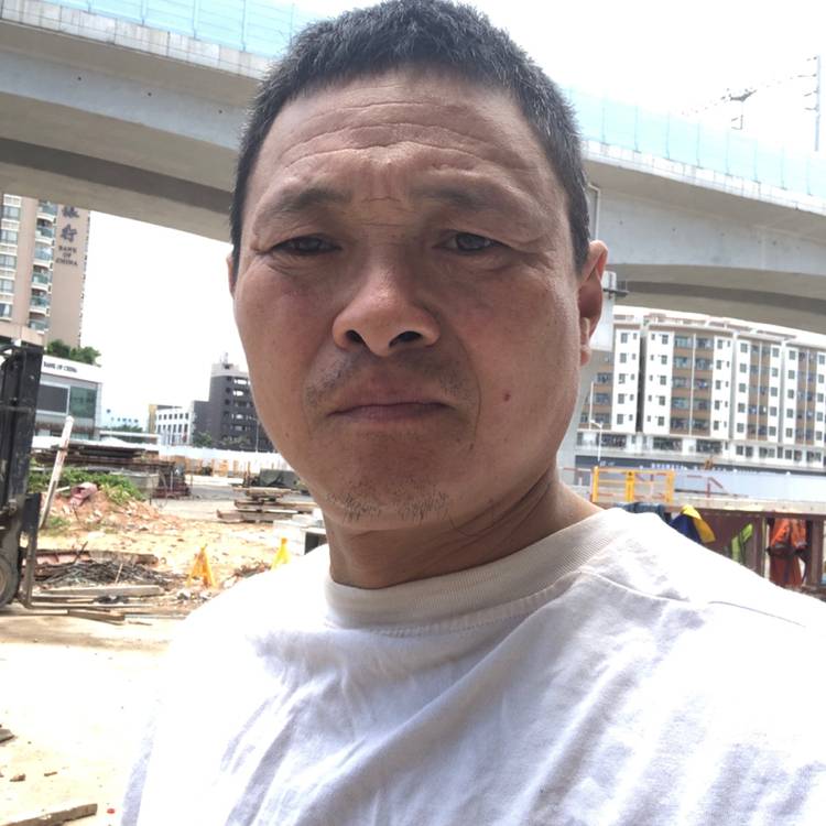 橘子彩色，的照片