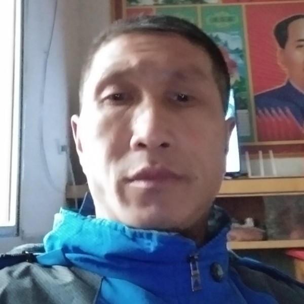 优雅小蝴蝶的照片