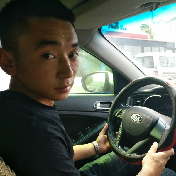 沉默和树叶的照片