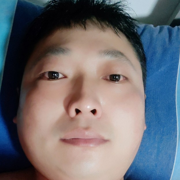 一只孤鹤的照片