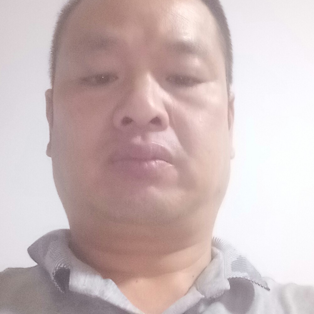 黯然离歌的照片