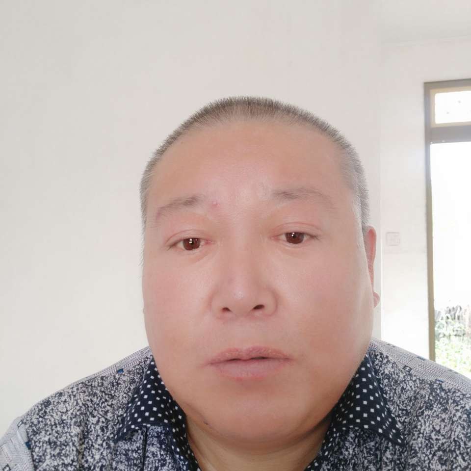 老虎无辜的照片