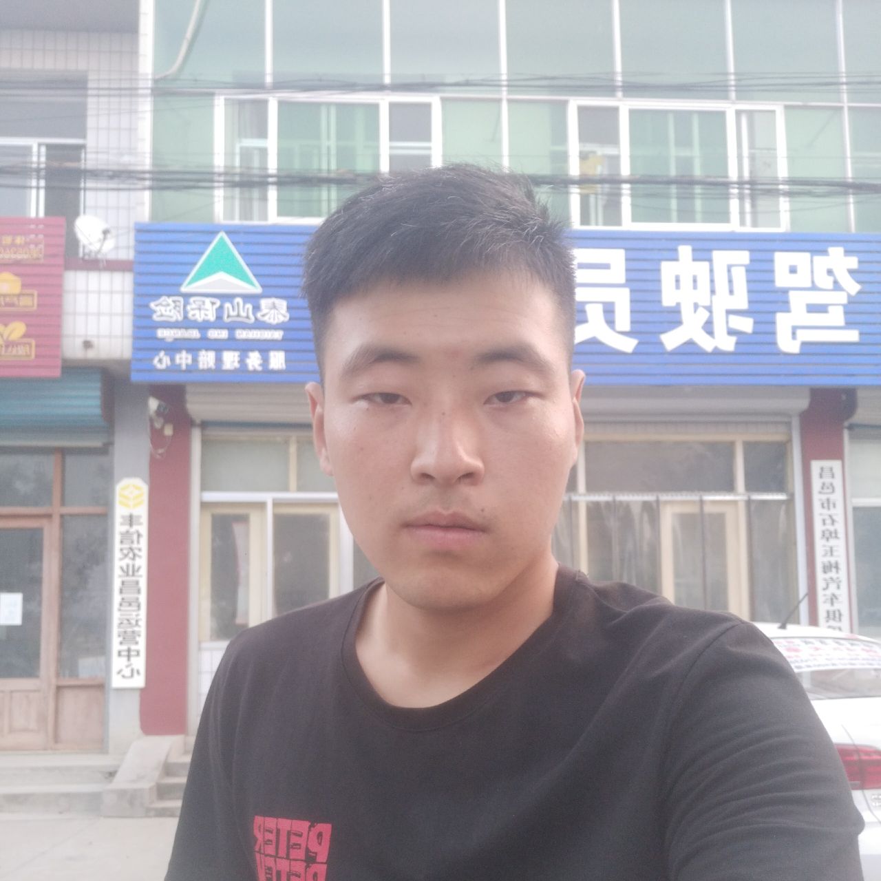 细腻挽手灰狼的照片