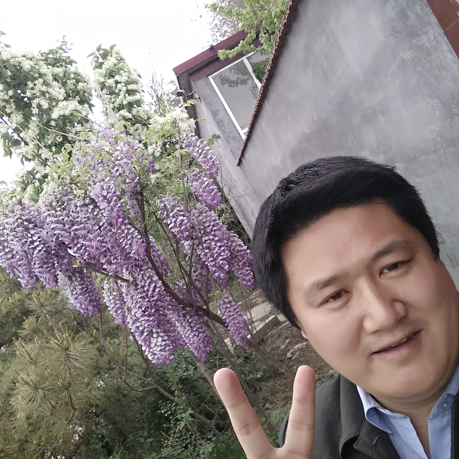 淡然蹁跹可乐的照片