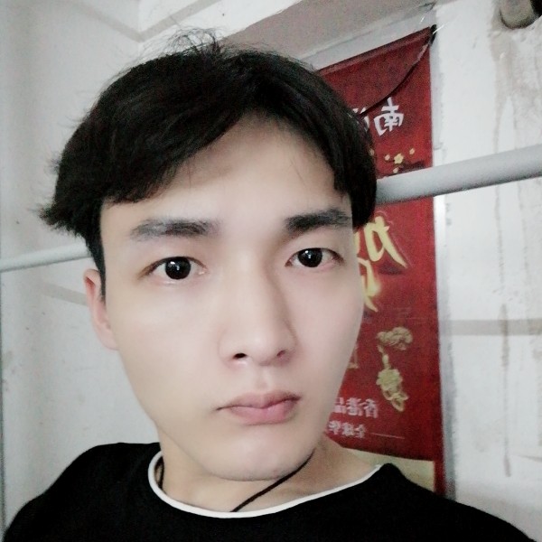 呆萌打白猫的照片