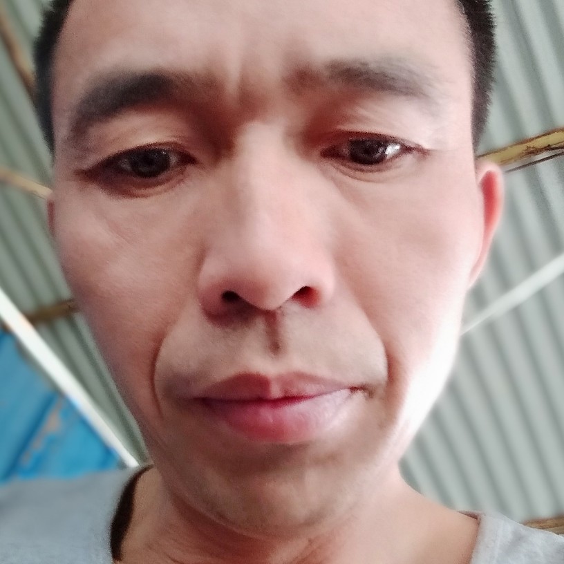 直率相许星星的照片