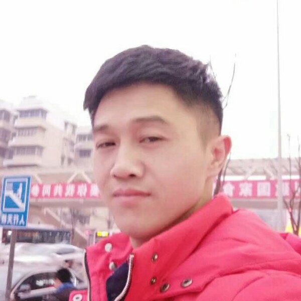 调皮小懒猪的照片