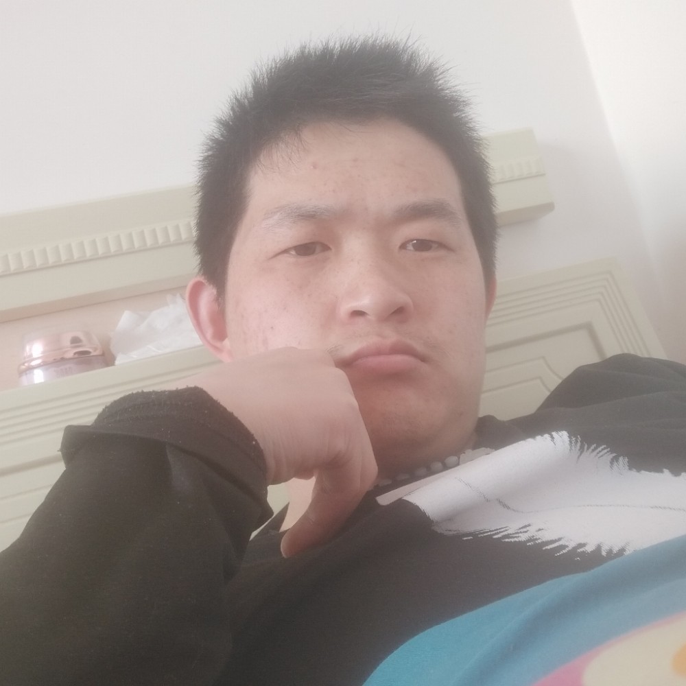 恬静向刺猬的照片