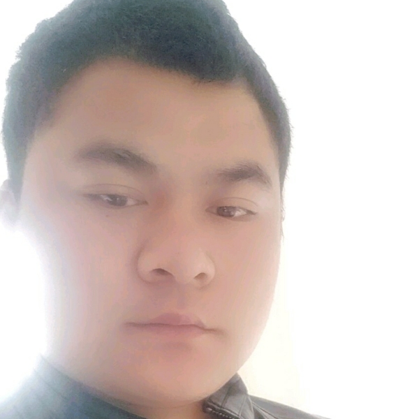 美丽愿野狼的照片