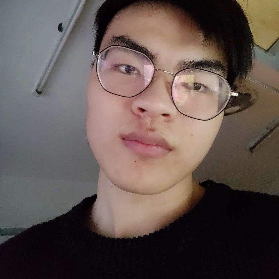 迷失的豆子的照片