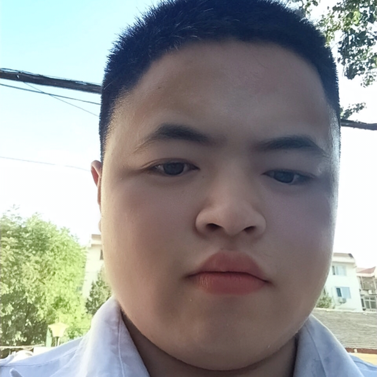 不解的邂逅孤心的照片